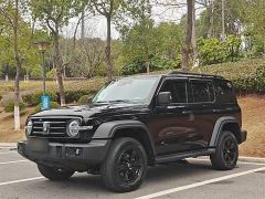 Great Wall 300 Black 2023