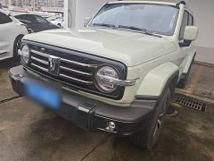 Great Wall 300 Green 2022