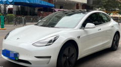 Tesla Model White 2019