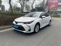 Toyota Corolla White 2023