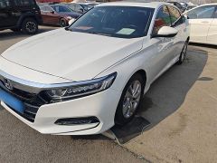 Honda Accord White 2019