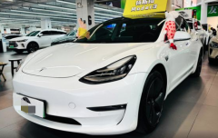 Tesla Model White 2019