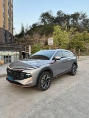 Haval XY Gray 2022