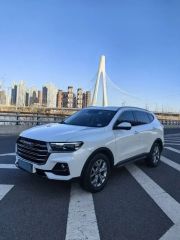 Haval H6 White 2021