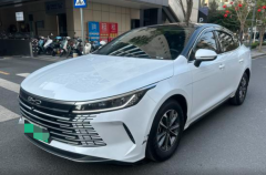 BYD BYD KING‌ White 2024