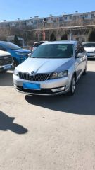 Skoda Rapid Silver 2013