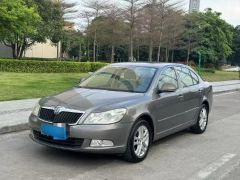 Skoda Octavia Gray 2013