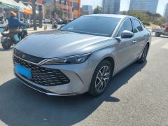 BYD QinL Gray 2024