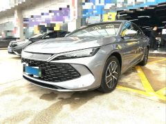 BYD QinL Gray 2024
