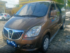 FOTON FOTON Brown 2018