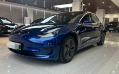 Tesla Model Blue 2020