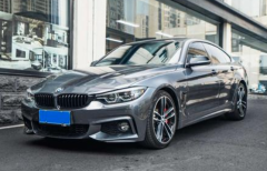 BMW 4 Series Gray 2019