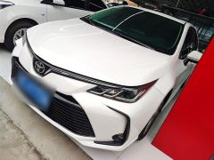 Toyota Corolla White 2021