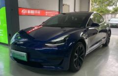 Tesla Model Blue 2019