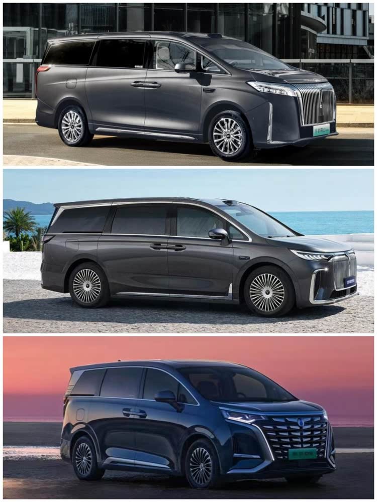 2025 Luxury New Energy MPV Market Trends - BYD, Voyah & Wey